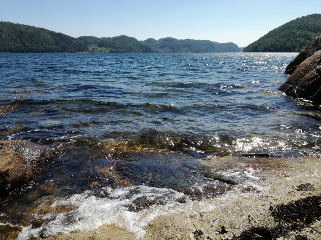 img_20180608_140708.jpg 
