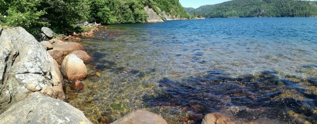 img_20180608_141633.jpg 