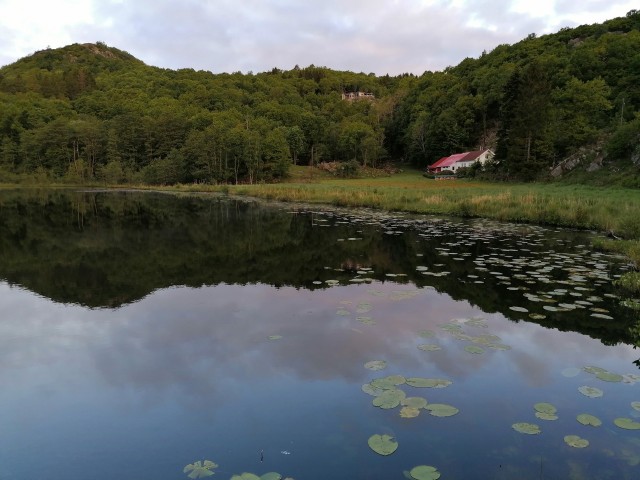 img_20220530_061905.jpg 