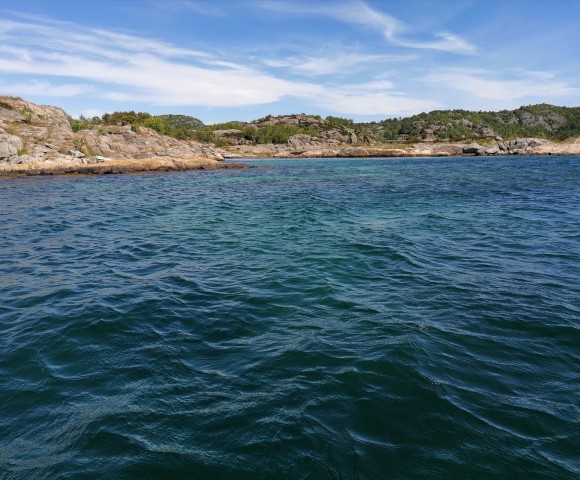 img_20220606_153303.jpg 