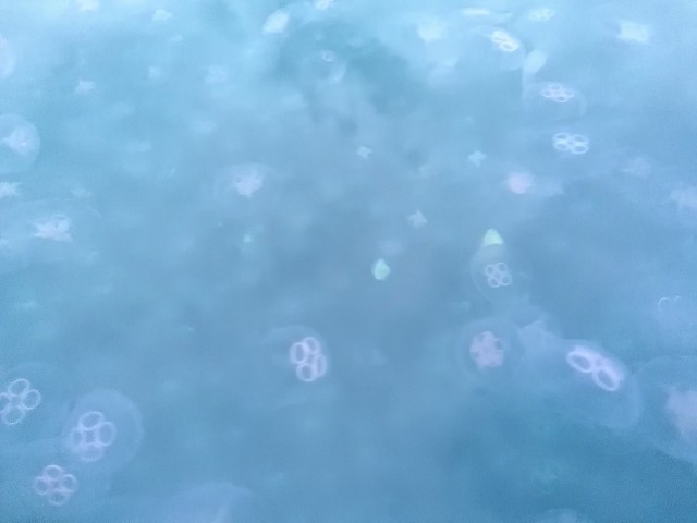 img_20220607_235432.jpg 