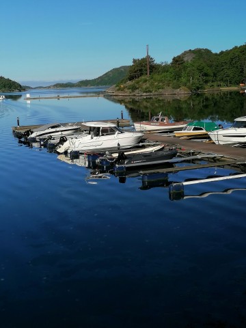 img_20220608_075603.jpg 