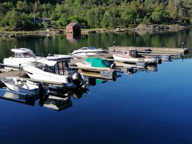 img_20220608_075658.jpg 