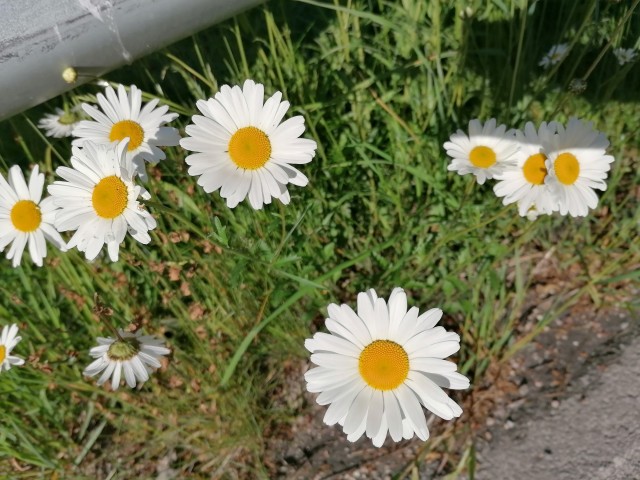img_20220608_080846.jpg 