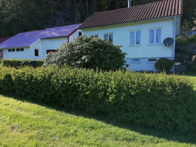 img_20230520_180942.jpg 