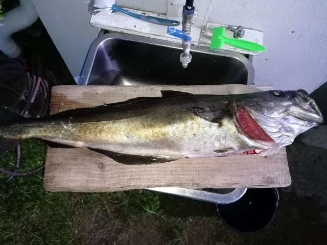 img_20230530_230502.jpg 