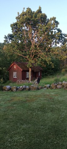 img_20250613_045525.jpg 