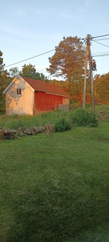 img_20250613_045534.jpg 