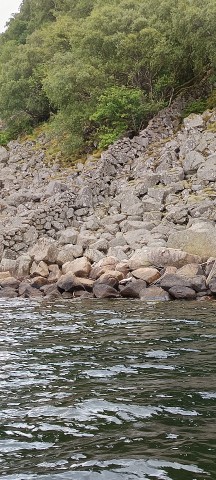 img_20250615_185926.jpg 