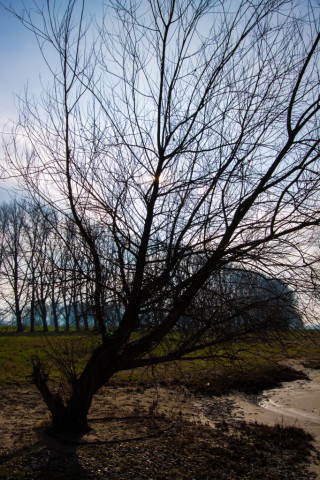 img_2997.jpg 