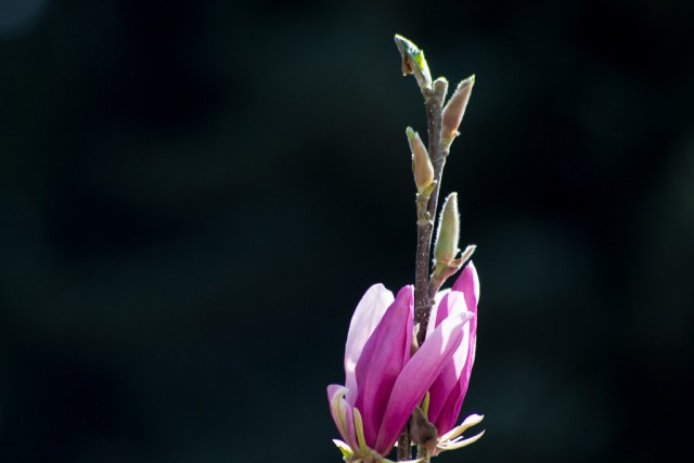 img_3468.jpg 