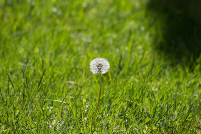 img_3862.jpg 