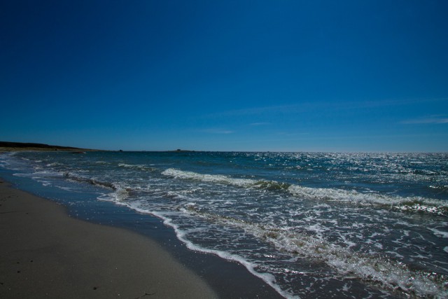 img_4591.jpg 