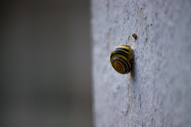 img_5047.jpg 