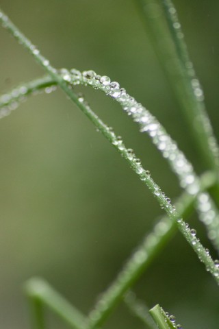 img_5079.jpg 