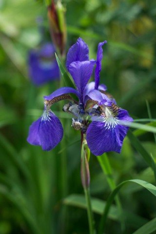 img_5740.jpg 