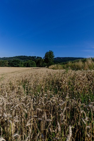 img_5895.jpg 