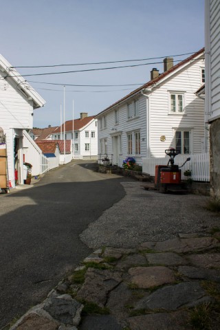 img_6237.jpg 