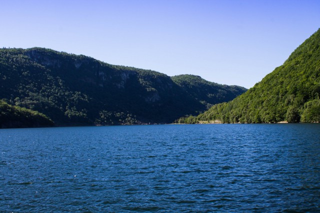 img_7105.jpg 
