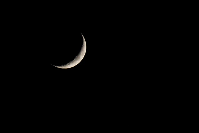 img_7389.jpg 