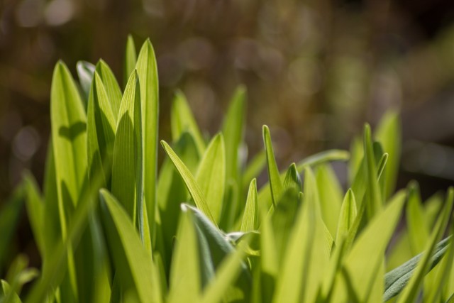 img_7586.jpg 