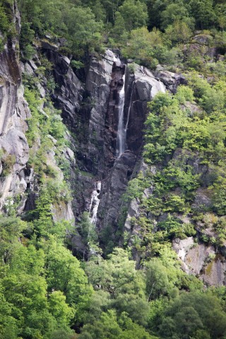 img_7683.jpg 
