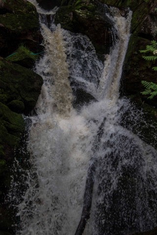 img_7833.jpg 