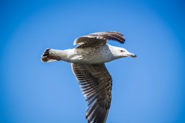 img_9037.jpg 