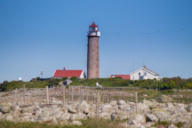 img_9043.jpg 