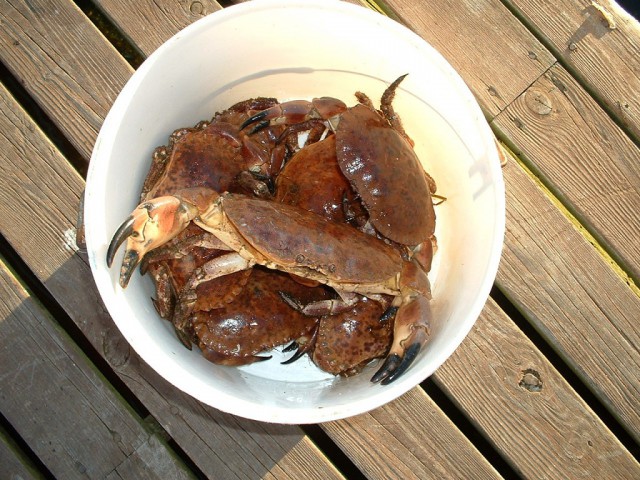 k-dscf0008.jpg 