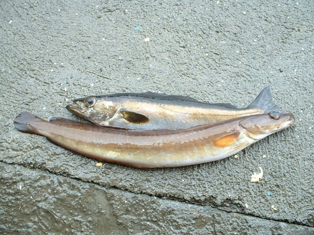 k-dscf0023.jpg 