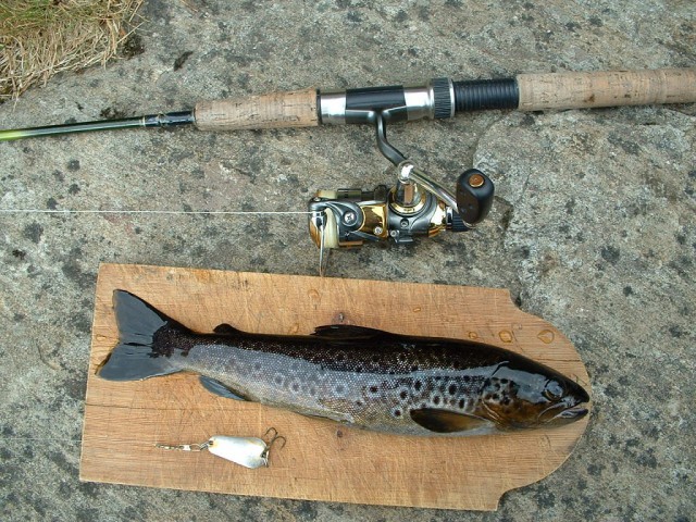 k-dscf0043.jpg 