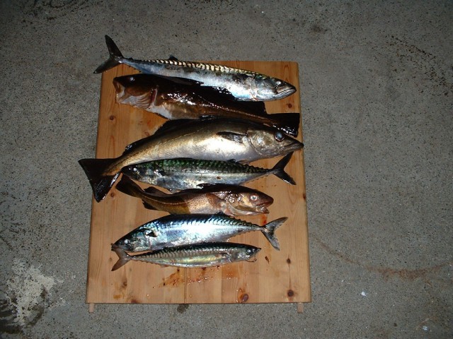 k-dscf0050.jpg 