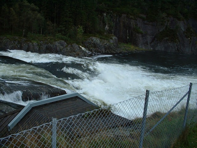 k-dscf0053(1).jpg 