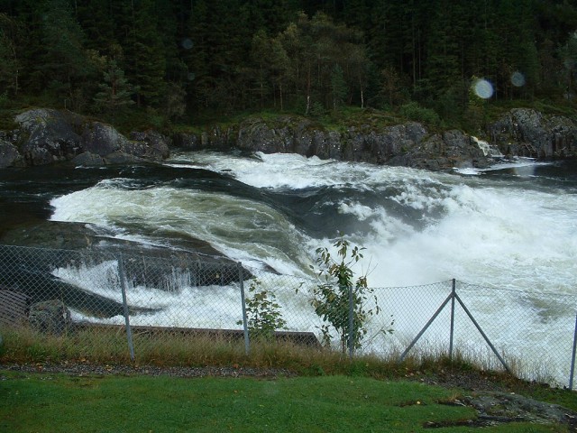 k-dscf0056(1).jpg 