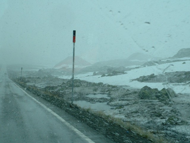 k-dscf0056(3).jpg 
