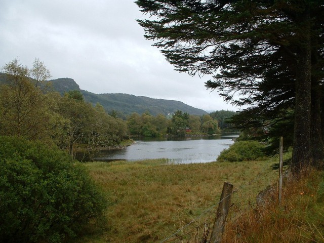 k-dscf0056.jpg 