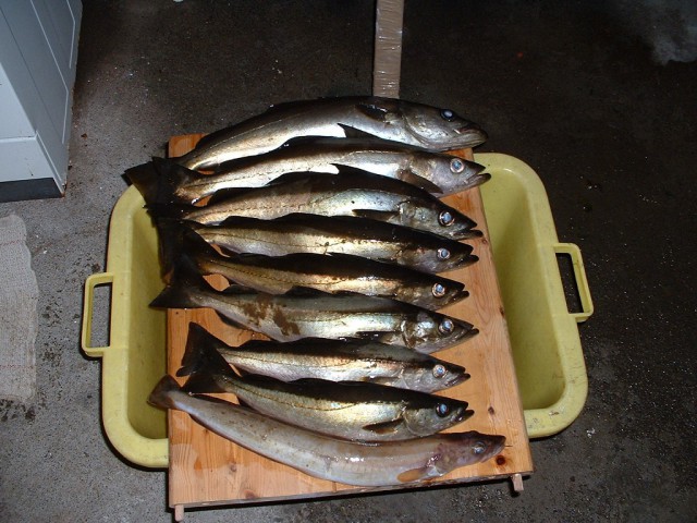 k-dscf0068.jpg 