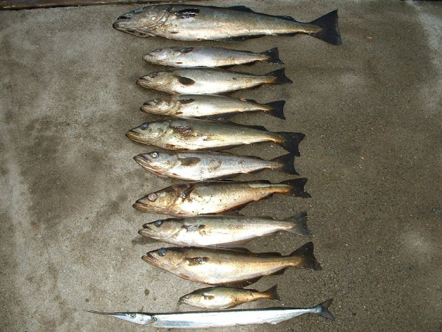 k-dscf0077.jpg 