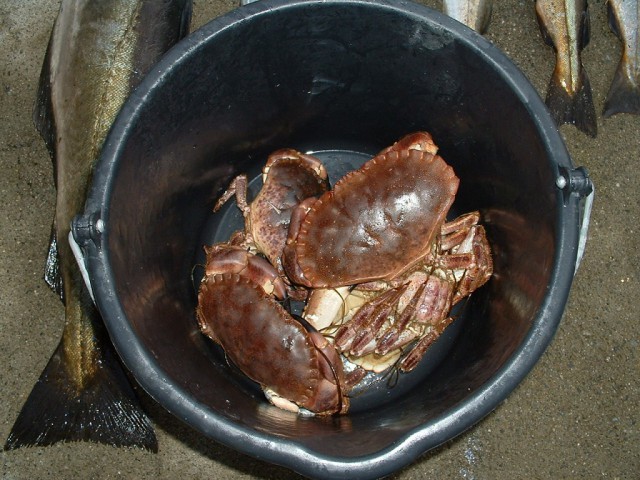 k-dscf0079.jpg 