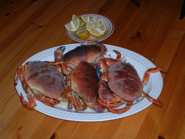 k-dscf0080.jpg 