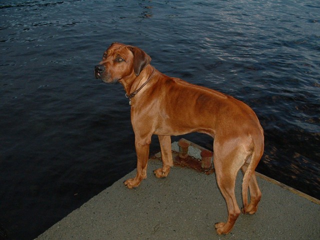k-dscf0087.jpg 