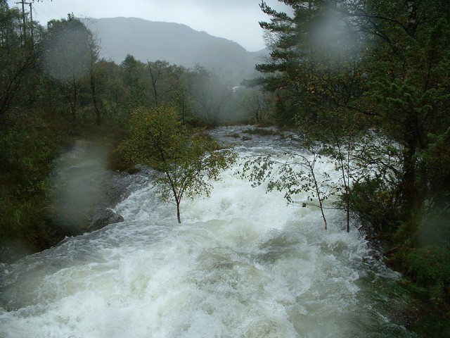 k-dscf0100.jpg 