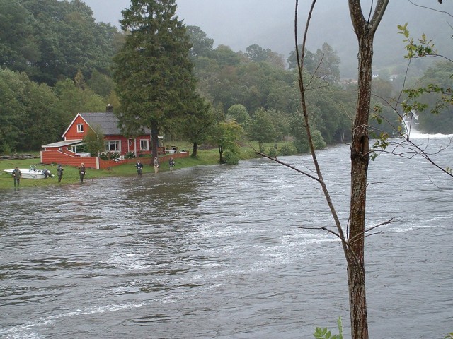 k-dscf0101.jpg 