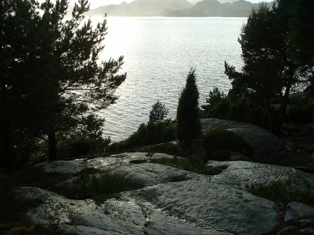 k-dscf0103.jpg 