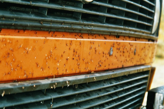 k-imm008.jpg 