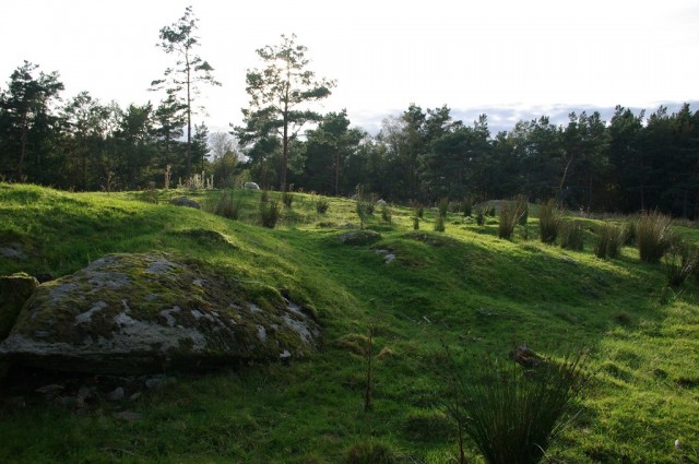k-norwegen2009037.jpg 