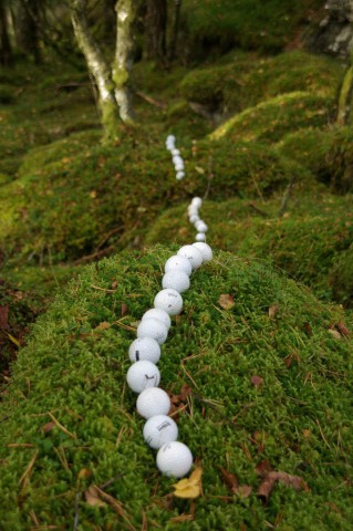 k-norwegen2009120.jpg 