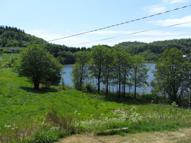 k-sdc10043.jpg 