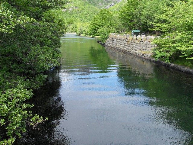 k-sdc10060.jpg 